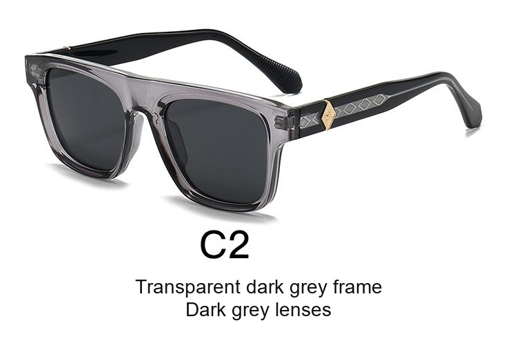 2350 — C2: Transparent dark grey frame / Dark grey lenses