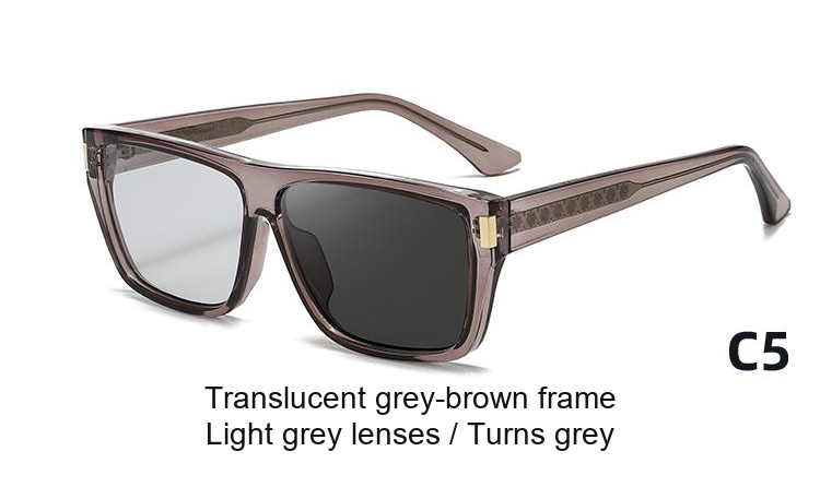 2352 — C5: Translucent grey-brown frame / Light grey lenses / darkens to Grey