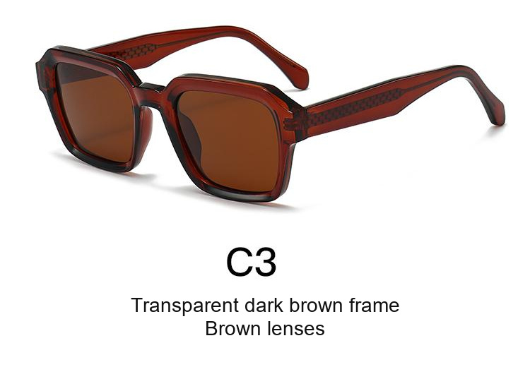 2358 — C3: Transparent dark brown frame / Brown lenses