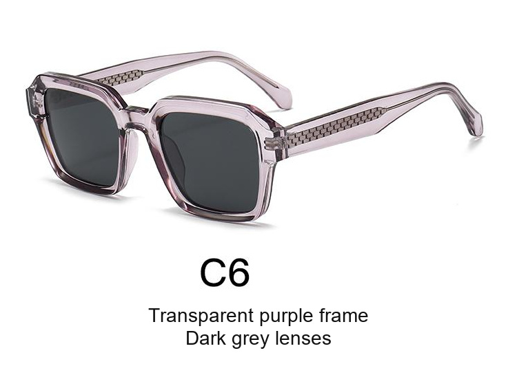 2358 — C6: Transparent purple frame / Dark grey lenses