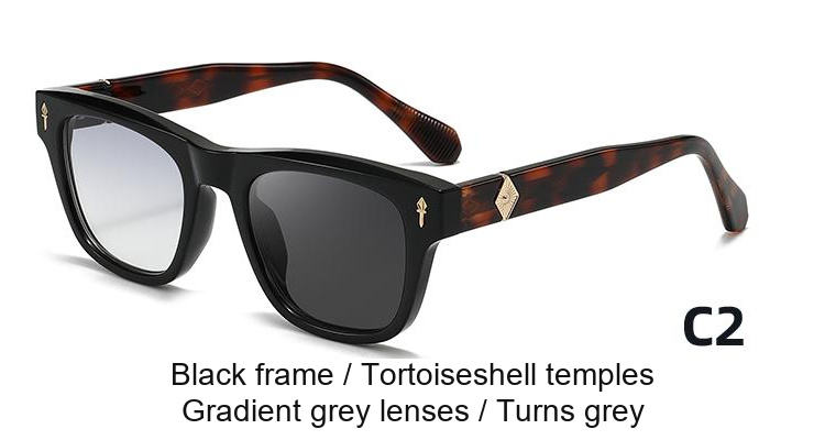2359 — C2: Black frame / Tortoiseshell temples / Gradient grey lenses / darkens to Grey