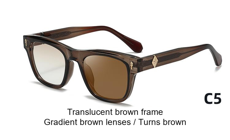 2359 — C5: Translucent brown frame / Gradient brown lenses / darkens to Brown