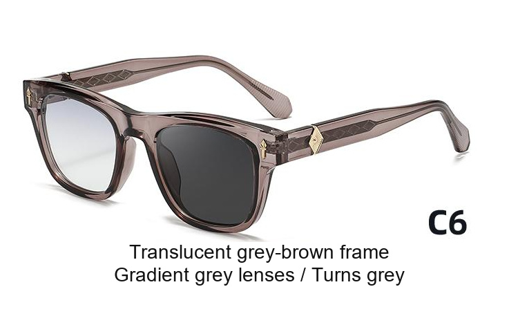 2359 — C6: Translucent grey-brown frame / Gradient grey lenses / darkens to Grey
