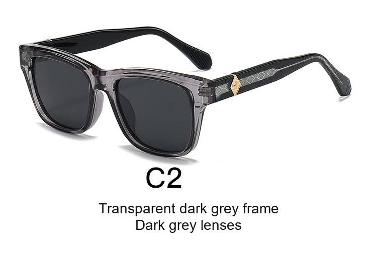 2360 — C2: Transparent dark grey frame / Dark grey lenses