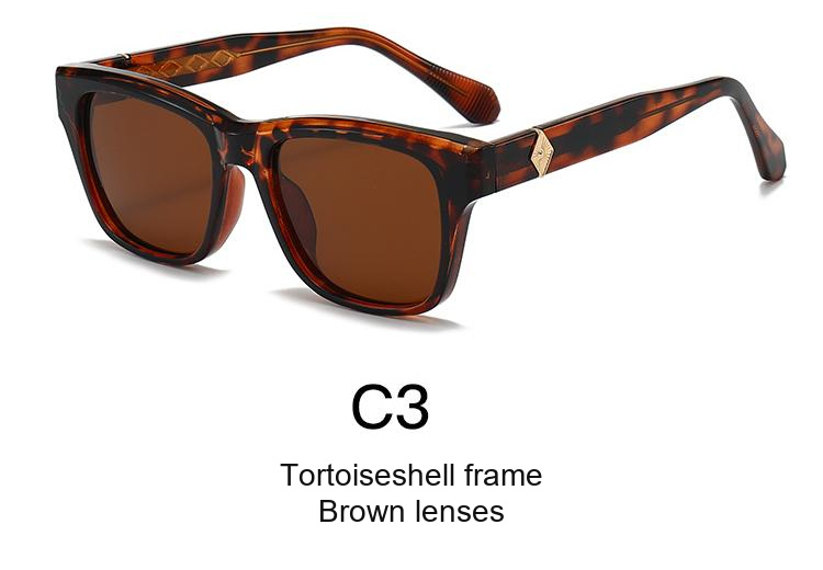 2360 — C3: Tortoiseshell frame / Brown lenses