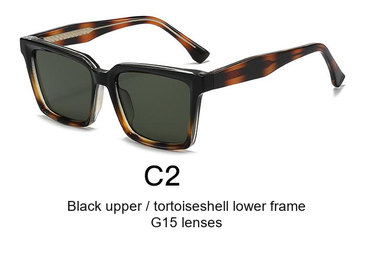 2366 — C2: Black upper / tortoiseshell lower frame / G15 lenses