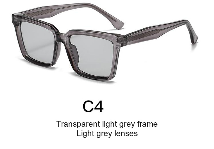2366 — C4: Transparent light grey frame / Light grey lenses