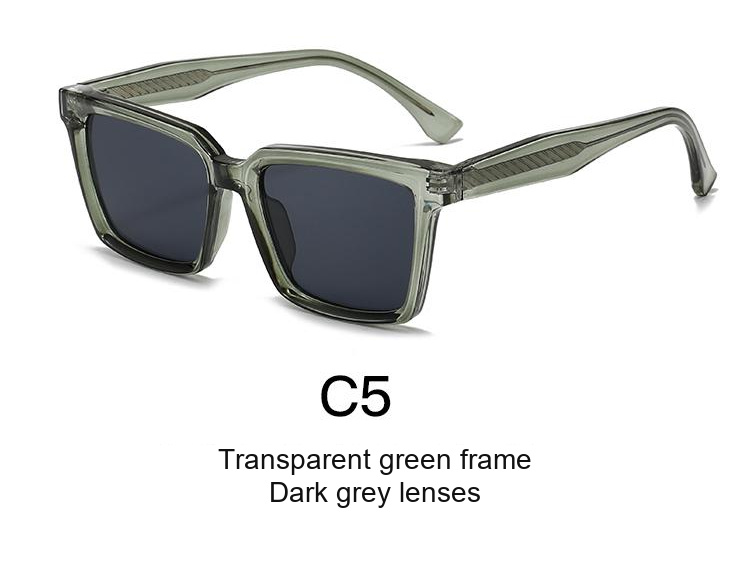 2366 — C5: Transparent green frame / Dark grey lenses