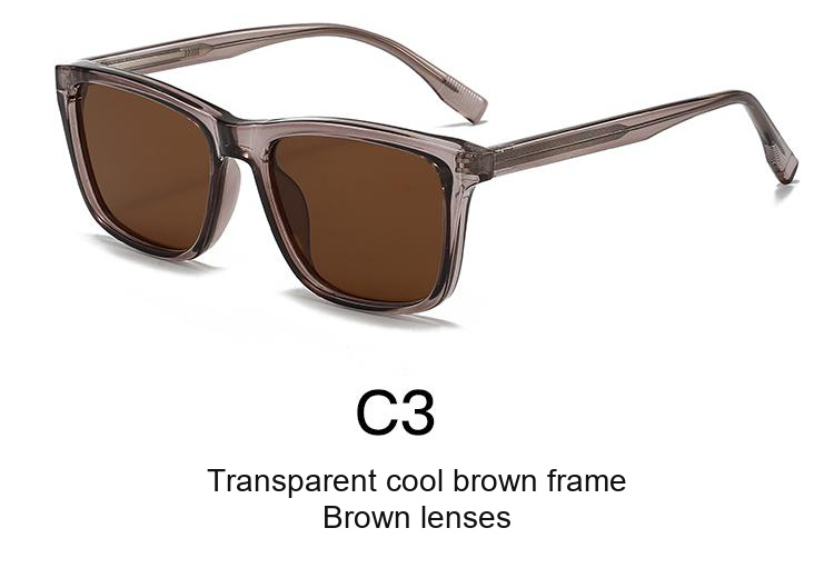 2368 — C3: Transparent cool brown frame / Brown lenses