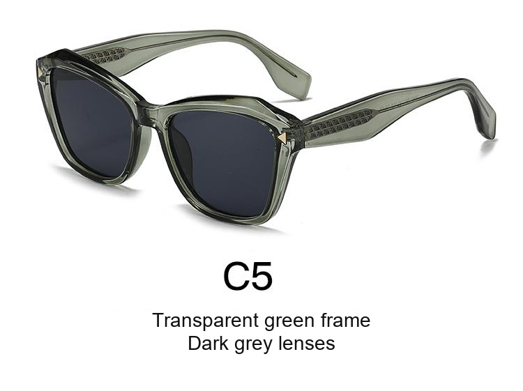2369 — C5: Transparent green frame / Dark grey lenses