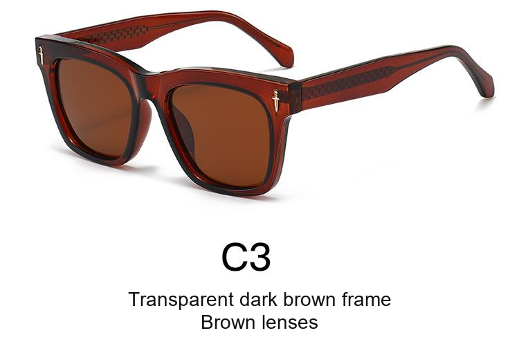 2370 — C3: Transparent dark brown frame / Brown lenses