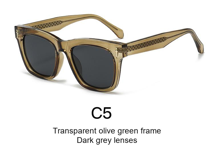 2370 — C5: Transparent olive green frame / Dark grey lenses