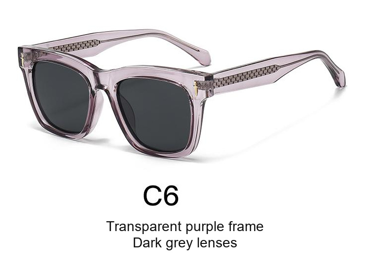 2370 — C6: Transparent purple frame / Dark grey lenses