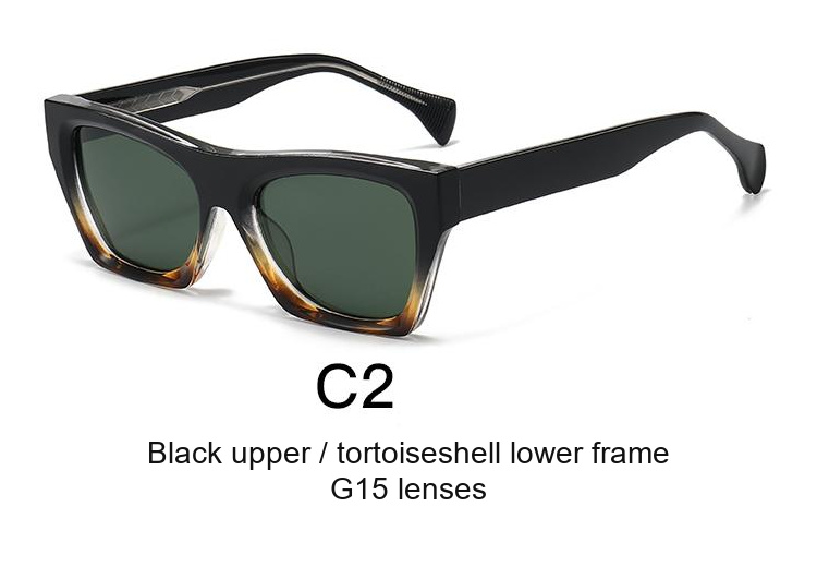 2371 — C2: Black upper / tortoiseshell lower frame / G15 lenses