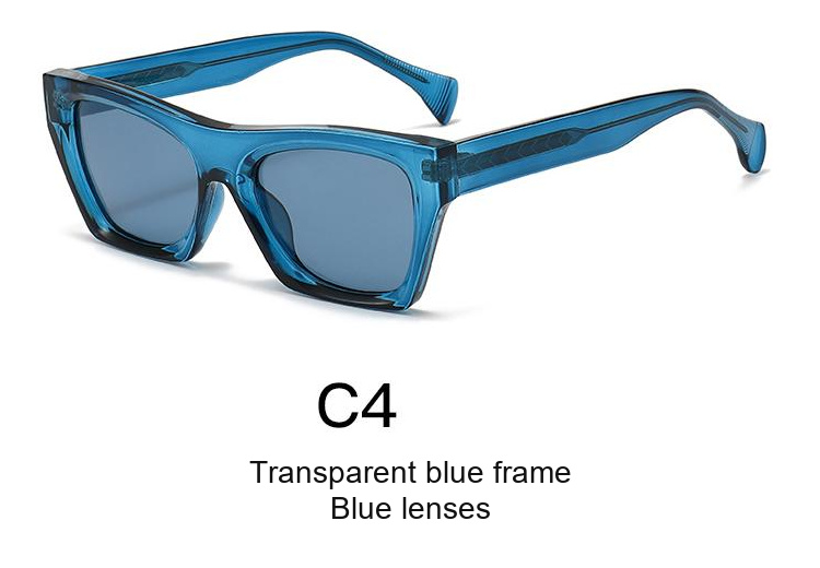 2371 — C4: Transparent blue frame / Blue lenses