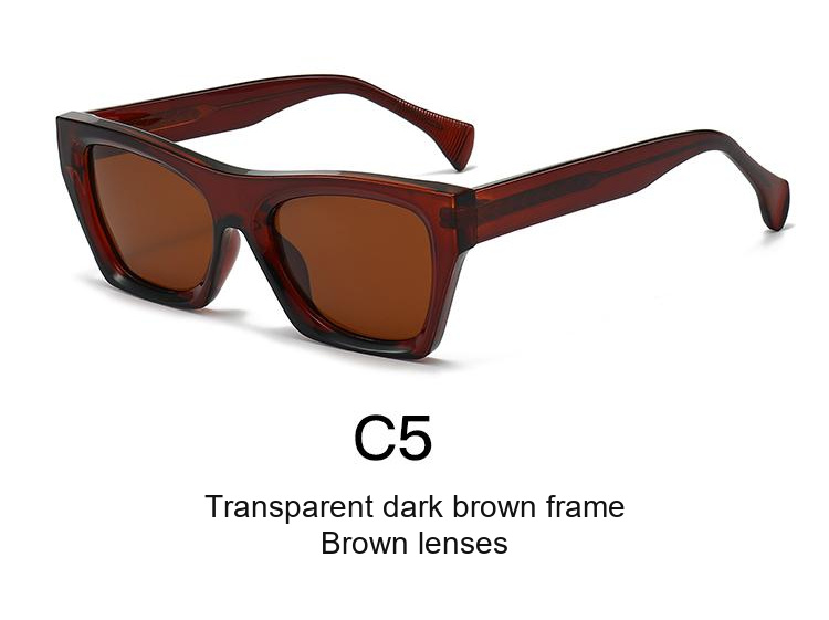 2371 — C5: Transparent dark brown frame / Brown lenses