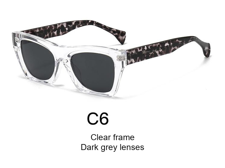 2371 — C6: Clear frame / Dark grey lenses