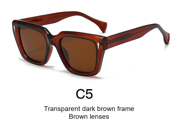 2372 — C5: Transparent dark brown frame / Brown lenses