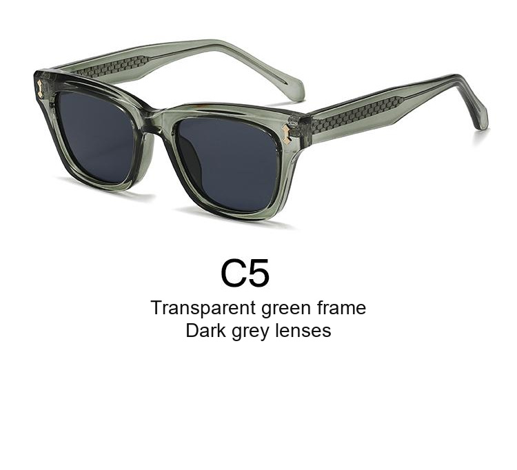 2376 — C5: Transparent green frame / Dark grey lenses