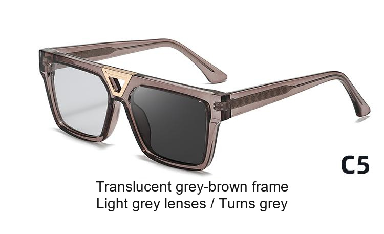 2379 — C5: Translucent grey-brown frame / Light grey lenses / darkens to Grey