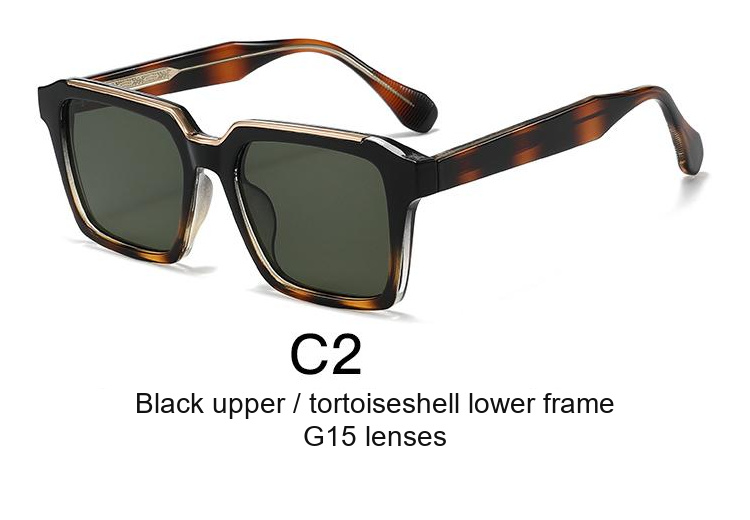 2381 — C2: Black upper / tortoiseshell lower frame / G15 lenses