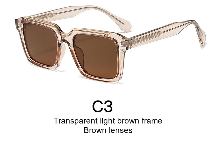 2381 — C3: Transparent light brown frame / Brown lenses