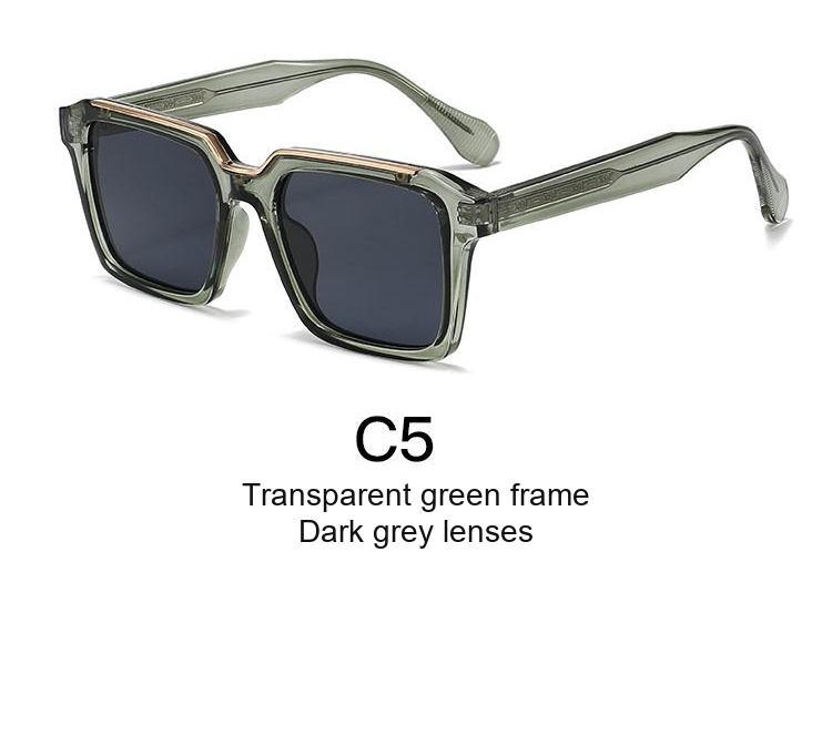 2381 — C5: Transparent green frame / Dark grey lenses