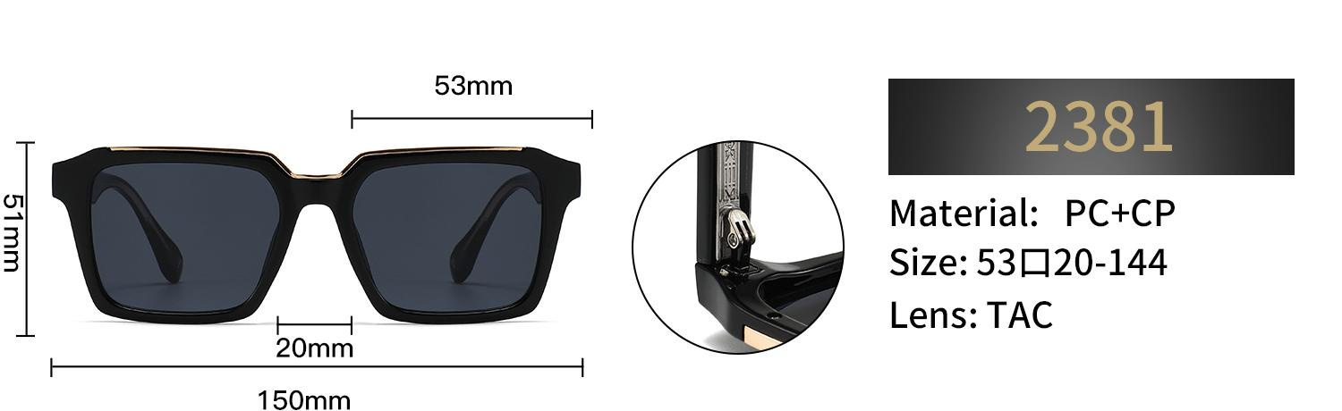 Polarized Rectangular Sunglasses – 2381 - Image 2