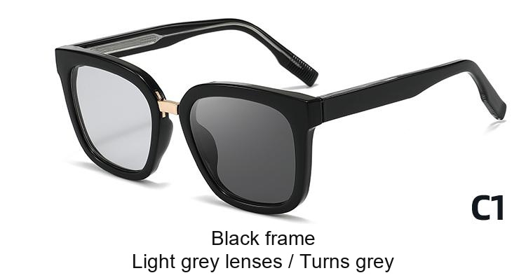 2383 — C1: Black frame / Light grey lenses / darkens to Grey