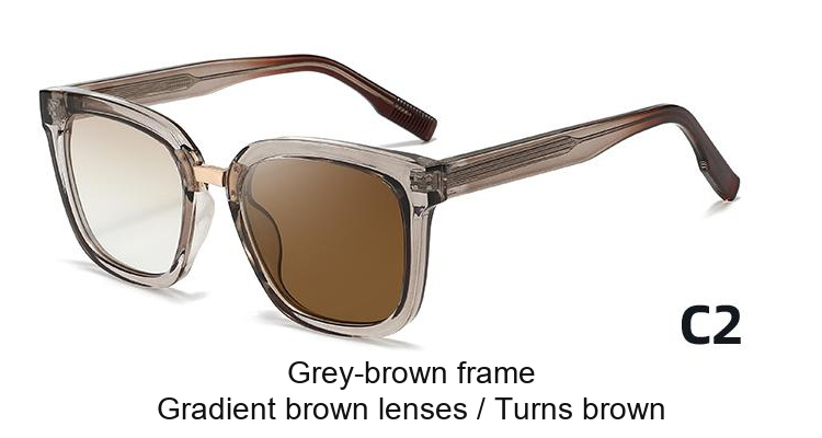 2383 — C2: Grey-brown frame / Gradient brown lenses / darkens to Brown