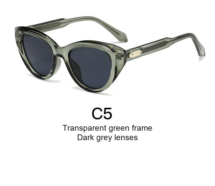 2391 — C5: Transparent green frame / Dark grey lenses