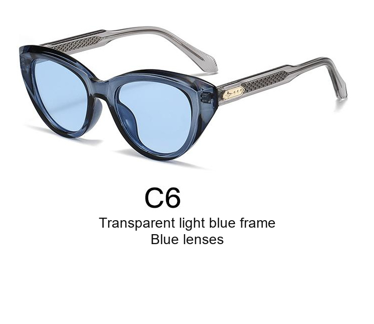 2391 — C6: Transparent light blue frame / Blue lenses