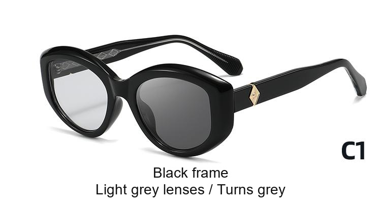 2393 — C1: Black frame / Light grey lenses / darkens to Grey