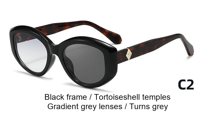 2393 — C2: Black frame / Tortoiseshell temples / Gradient grey lenses / darkens to Grey