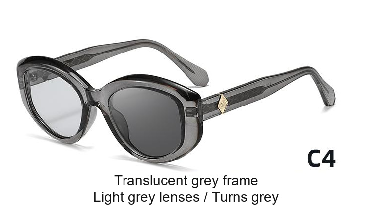 2393 — C4: Translucent grey frame / Light grey lenses / darkens to Grey