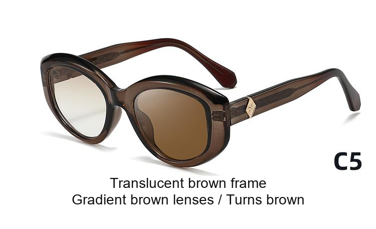 2393 — C5: Translucent brown frame / Gradient brown lenses / darkens to Brown