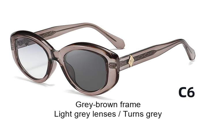 2393 — C6: Grey-brown frame / Light grey lenses / darkens to Grey