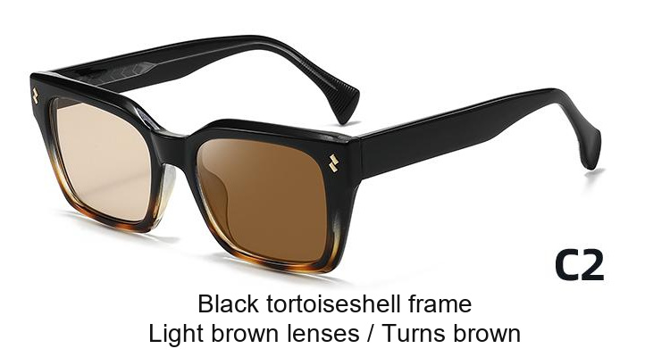 2396 — C2: Black tortoiseshell frame / Light brown lenses / darkens to Brown