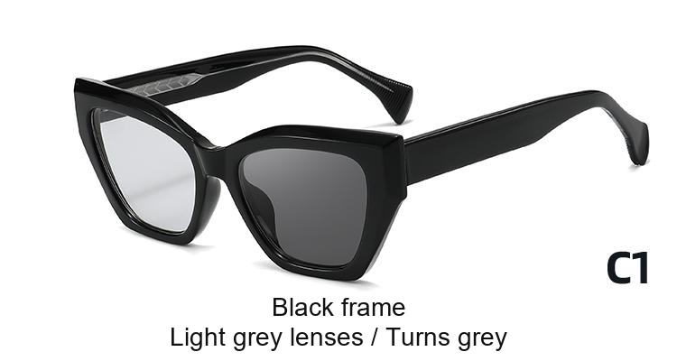 2397 — C1: Black frame / Light grey lenses / darkens to Grey