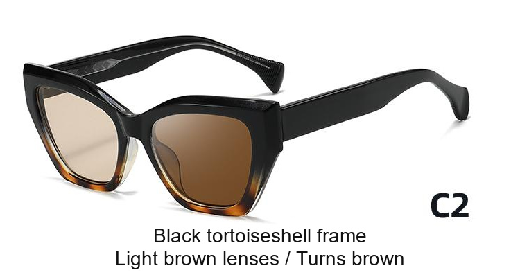2397 — C2: Black tortoiseshell frame / Light brown lenses / darkens to Brown