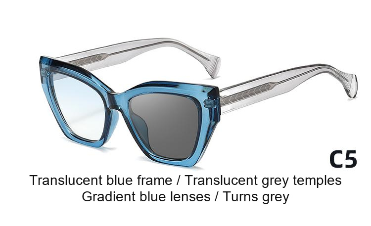 2397 — C5: Translucent blue frame / Translucent grey temples / Gradient blue lenses / darkens to Grey
