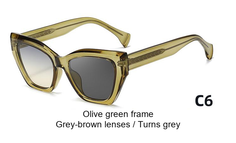 2397 — C6: Olive green frame / Grey-brown lenses / darkens to Grey